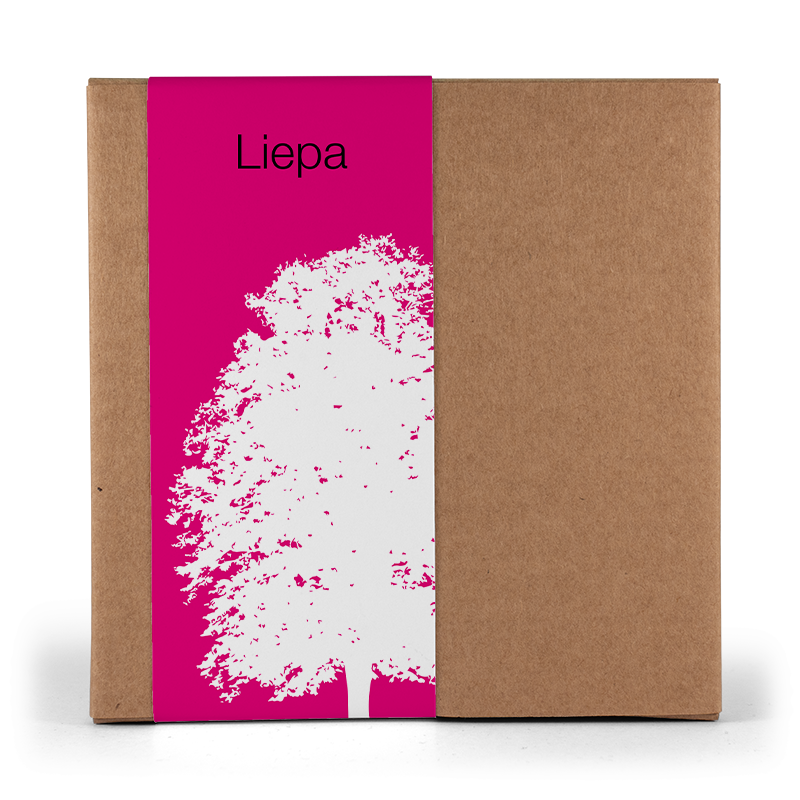 Sēklu komplektiņi (12cm)