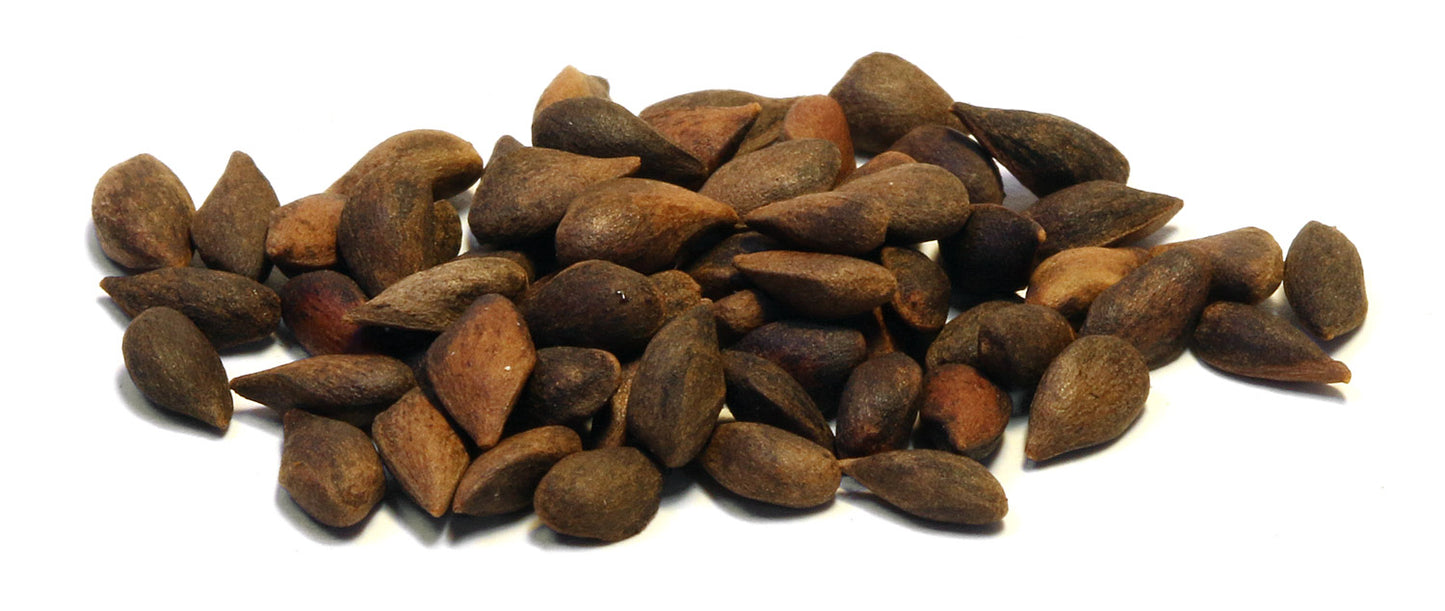 Koku sēklas aploksnē