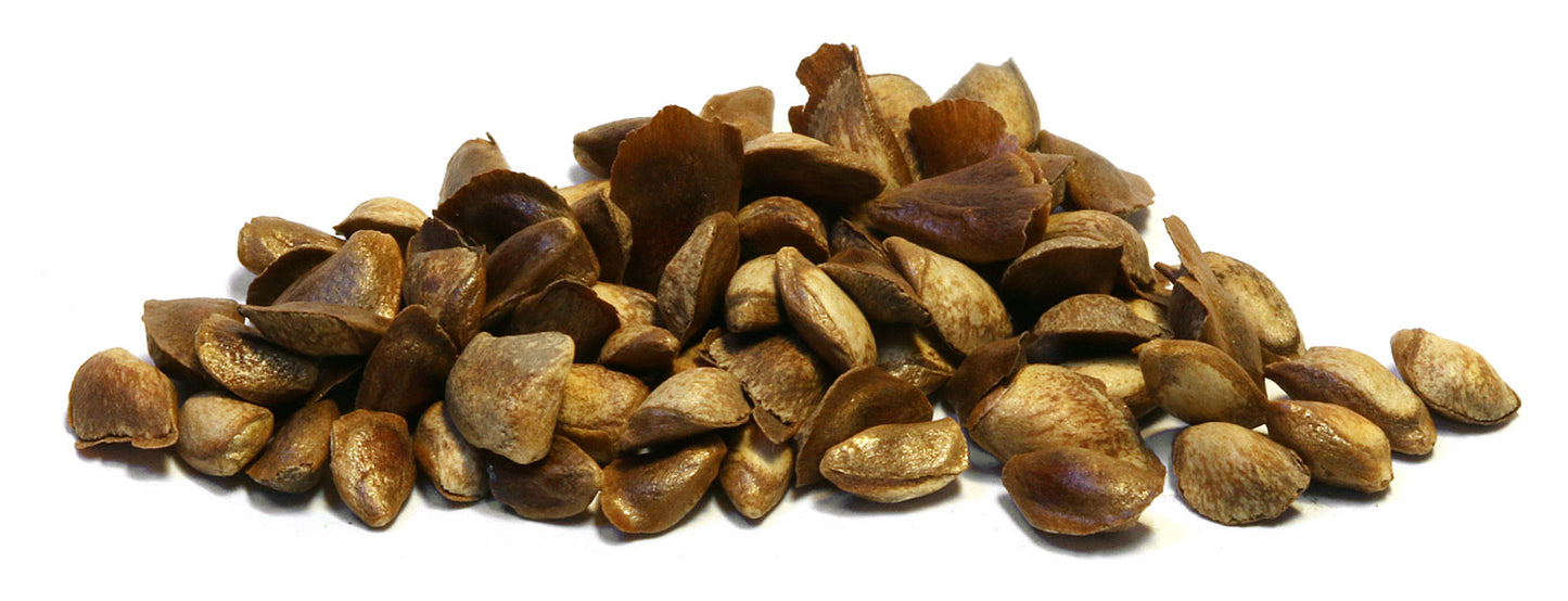 Sēklu komplektiņi (12cm)