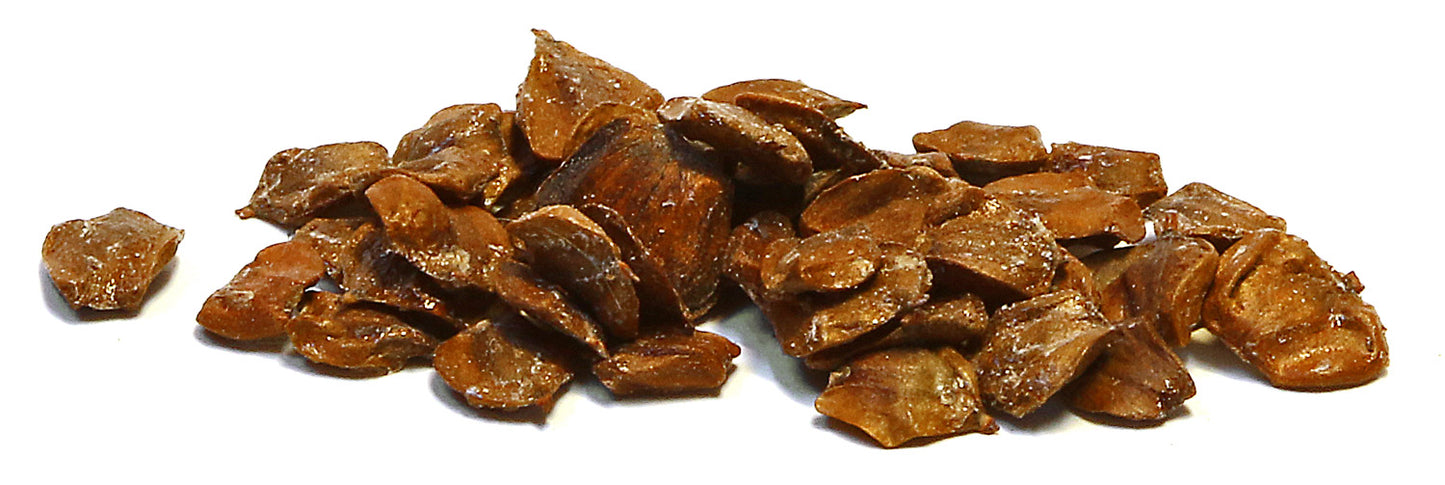 Koku sēklas aploksnē