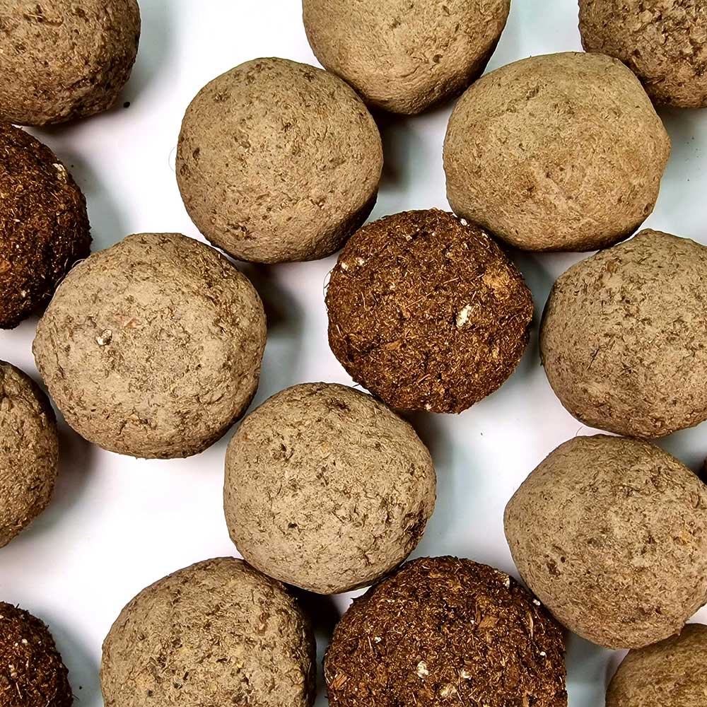 Sēklu bumba – Iemet un Aug!