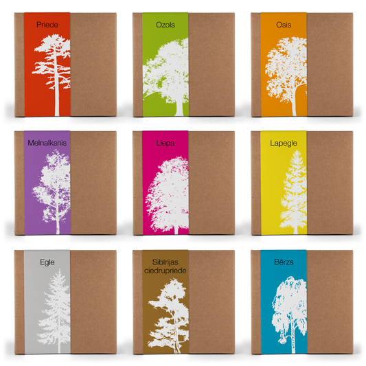 Sēklu komplektiņi (12cm)