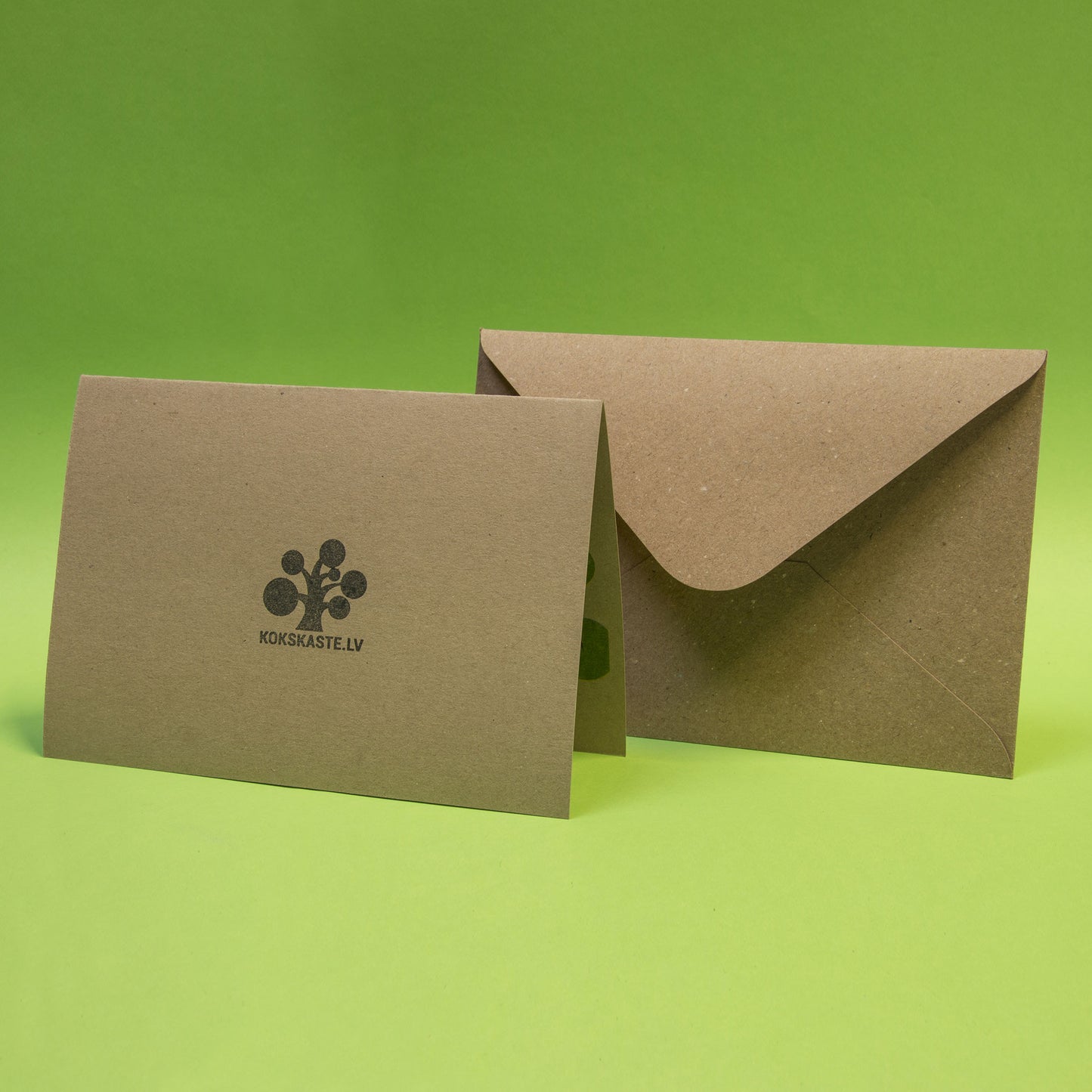 Koku sēklas aploksnē