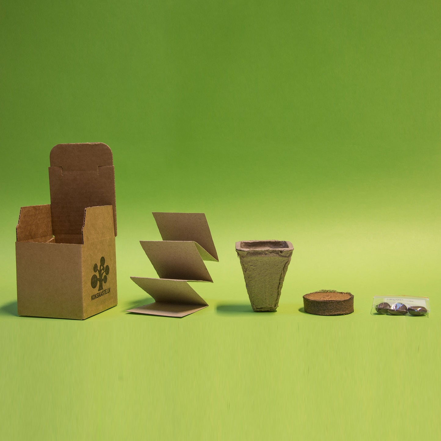 Koku sēklas mini kastītē