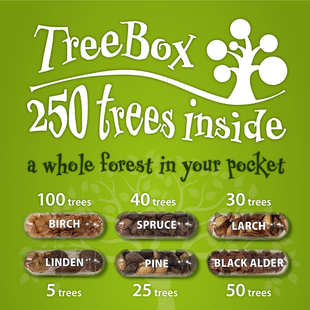 TreeBox - viss mežs tavā kabatā