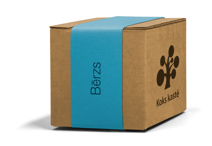 Koku sēklas mini kastītē