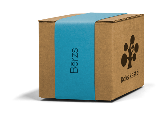 Koku sēklas mini kastītē