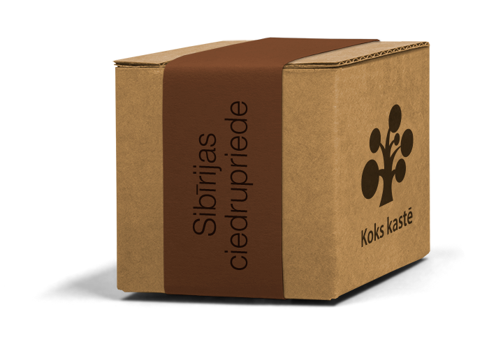 Koku sēklas mini kastītē