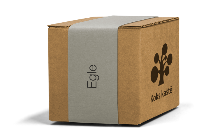 Koku sēklas mini kastītē