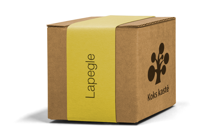 Koku sēklas mini kastītē