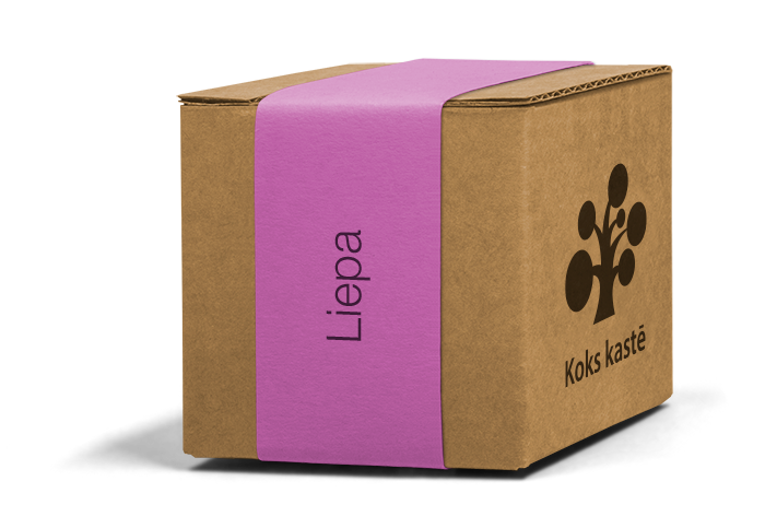 Koku sēklas mini kastītē