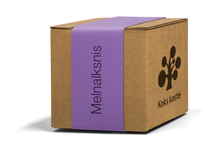 Koku sēklas mini kastītē