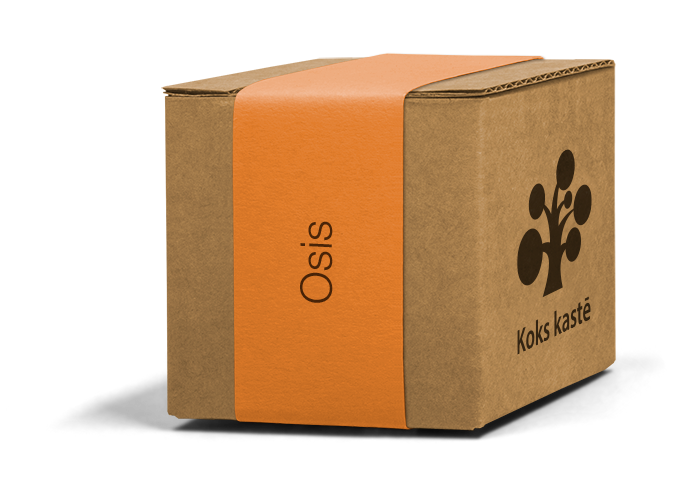 Koku sēklas mini kastītē