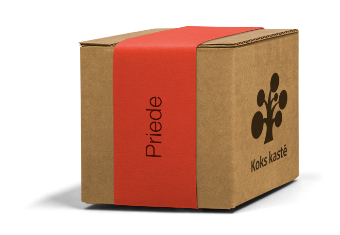 Koku sēklas mini kastītē