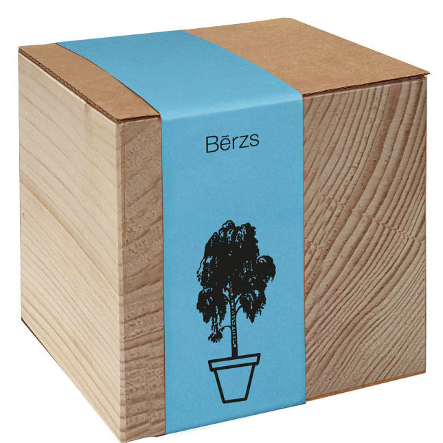 Koka podiņš ar sēklām