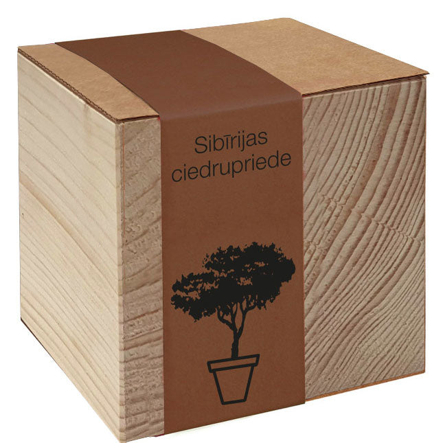 Koka podiņš ar sēklām