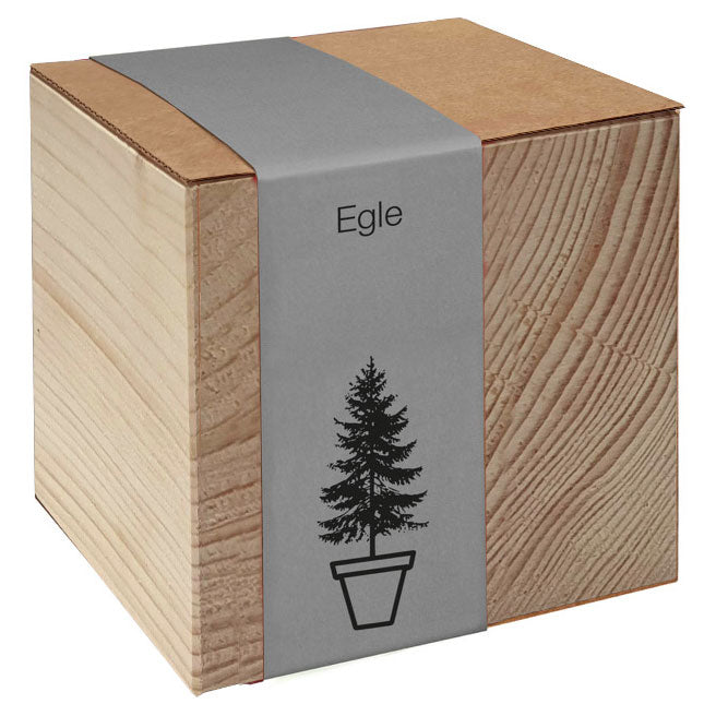 Koka podiņš ar sēklām