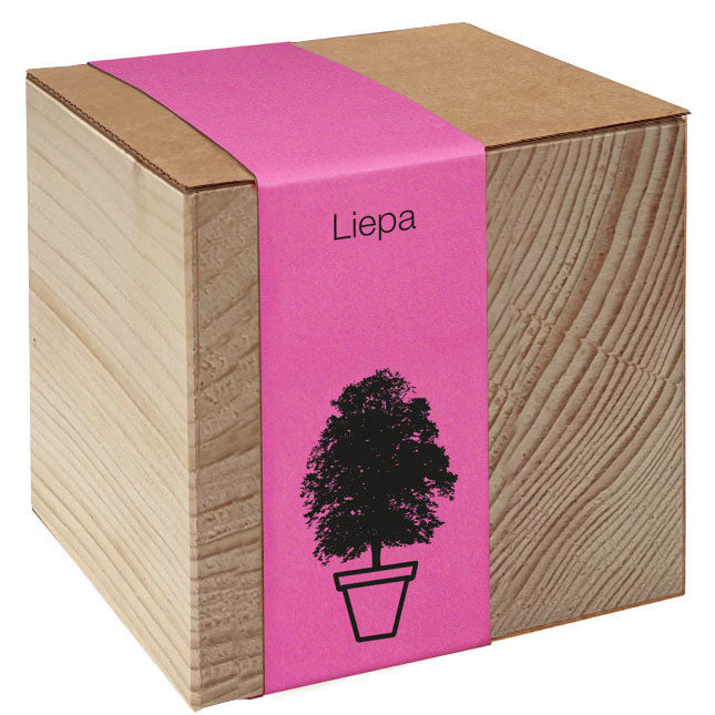 Koka podiņš ar sēklām