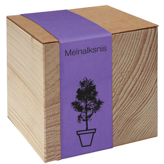 Koka podiņš ar sēklām