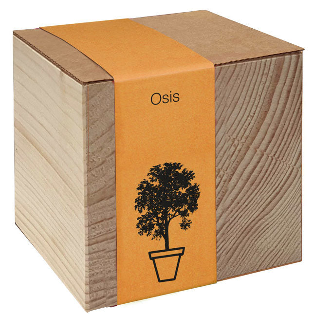 Koka podiņš ar sēklām