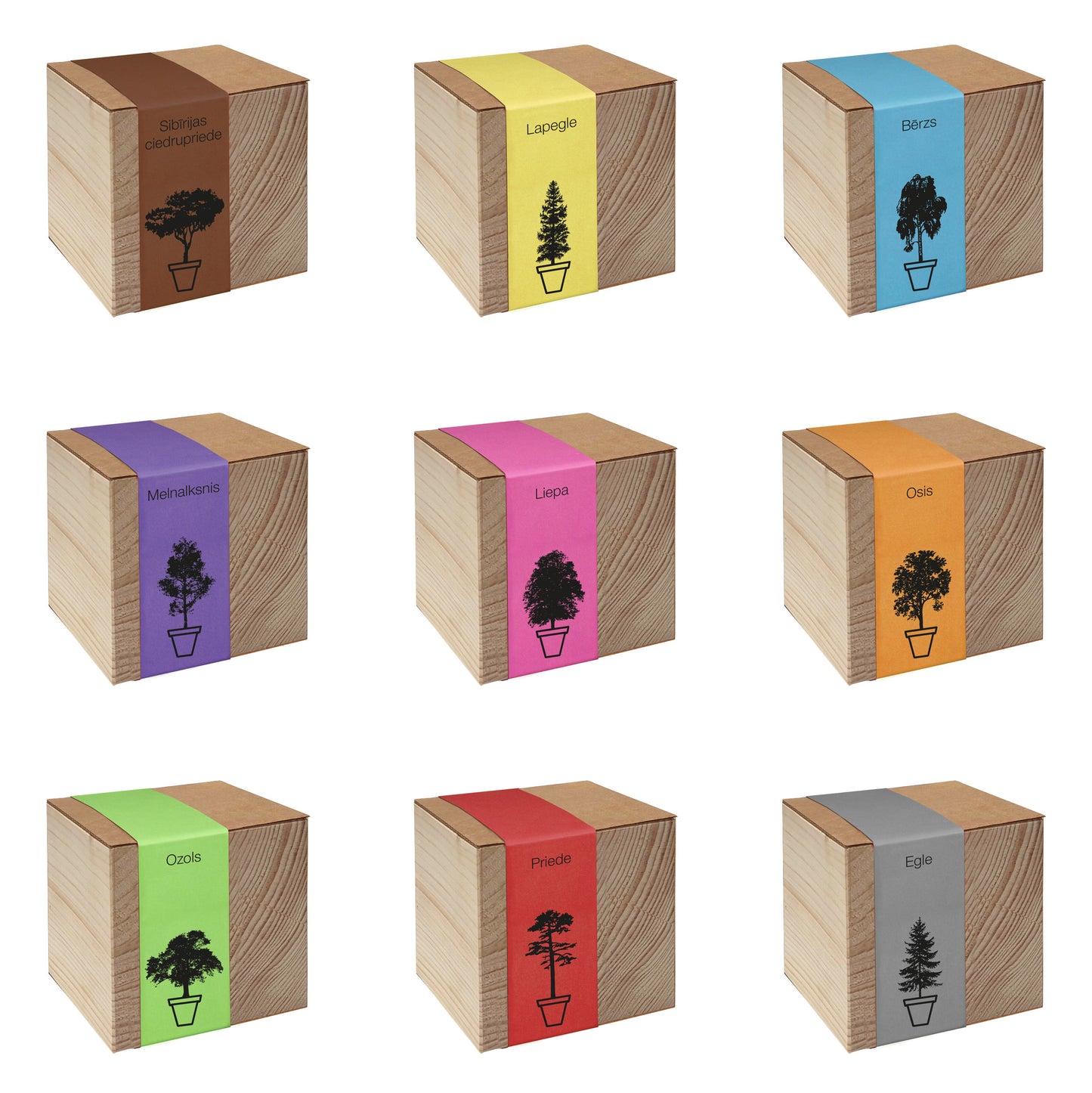 Koka podiņš ar sēklām