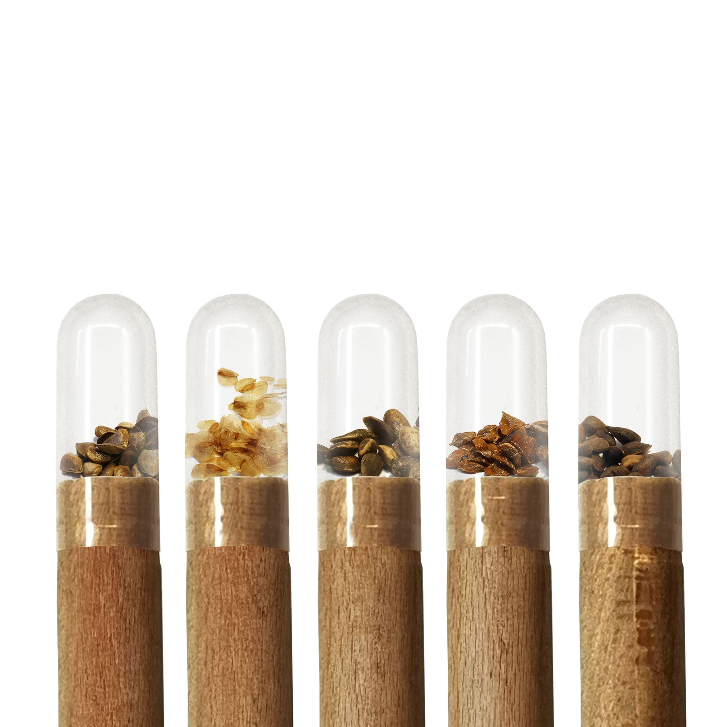 Wooden pencil with wood seeds