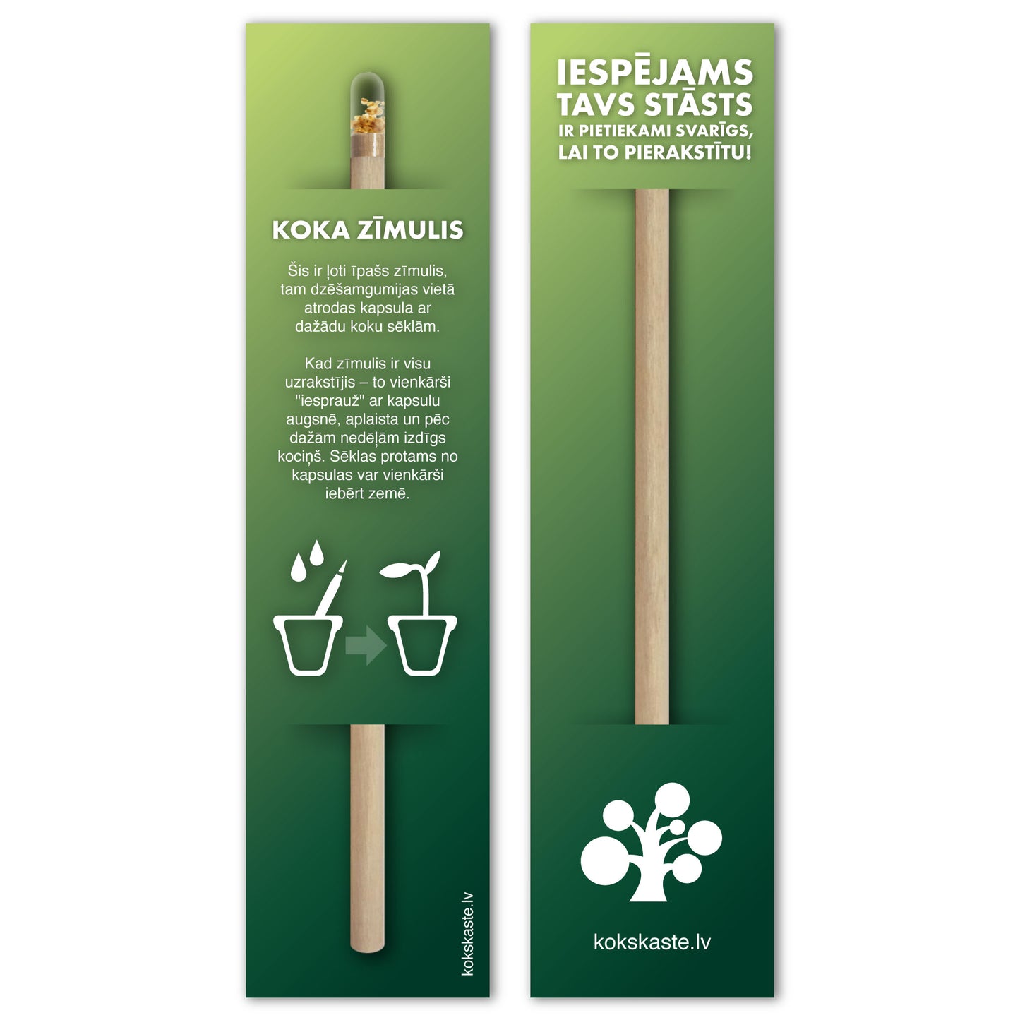 Wooden pencil with wood seeds