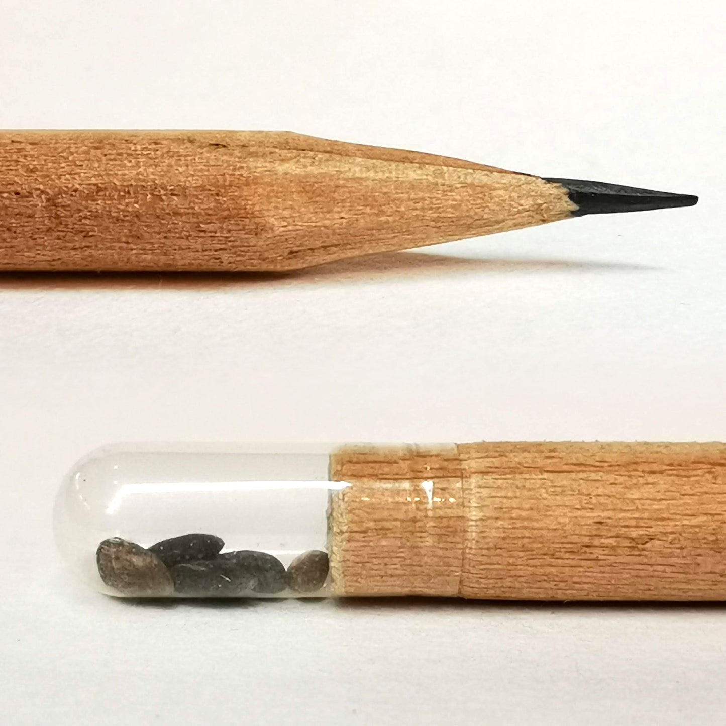 Wooden pencil with wood seeds