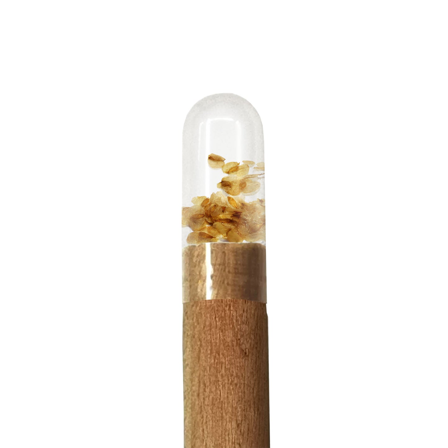 Wooden pencil with wood seeds