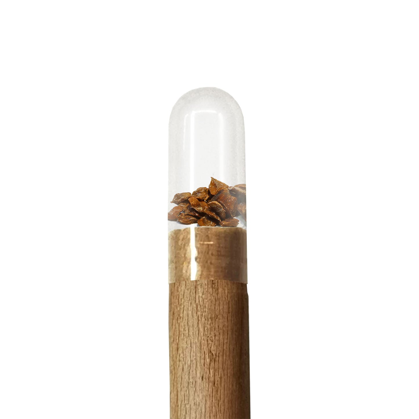 Wooden pencil with wood seeds