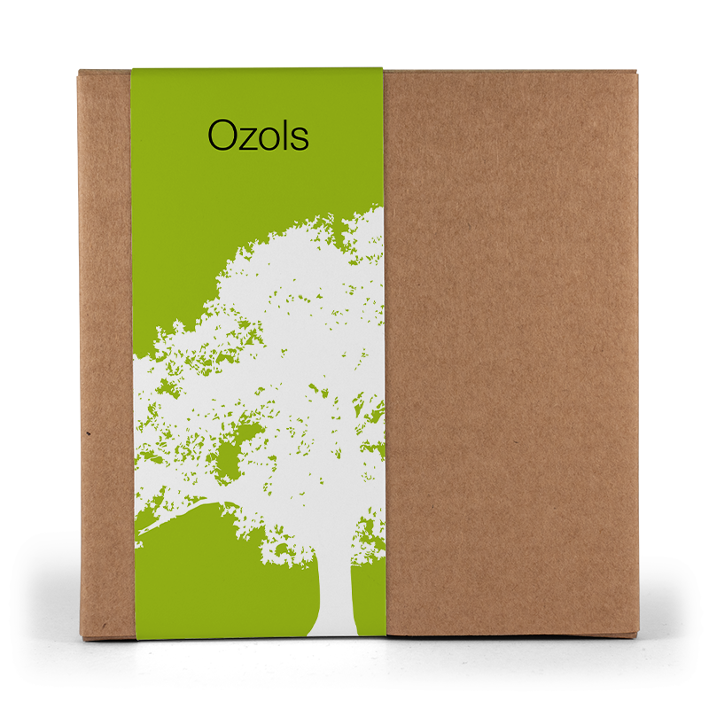 Koks kastē ar ozolzīlēm