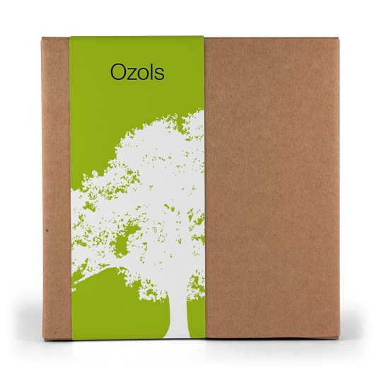 Koks kastē ar ozolzīlēm
