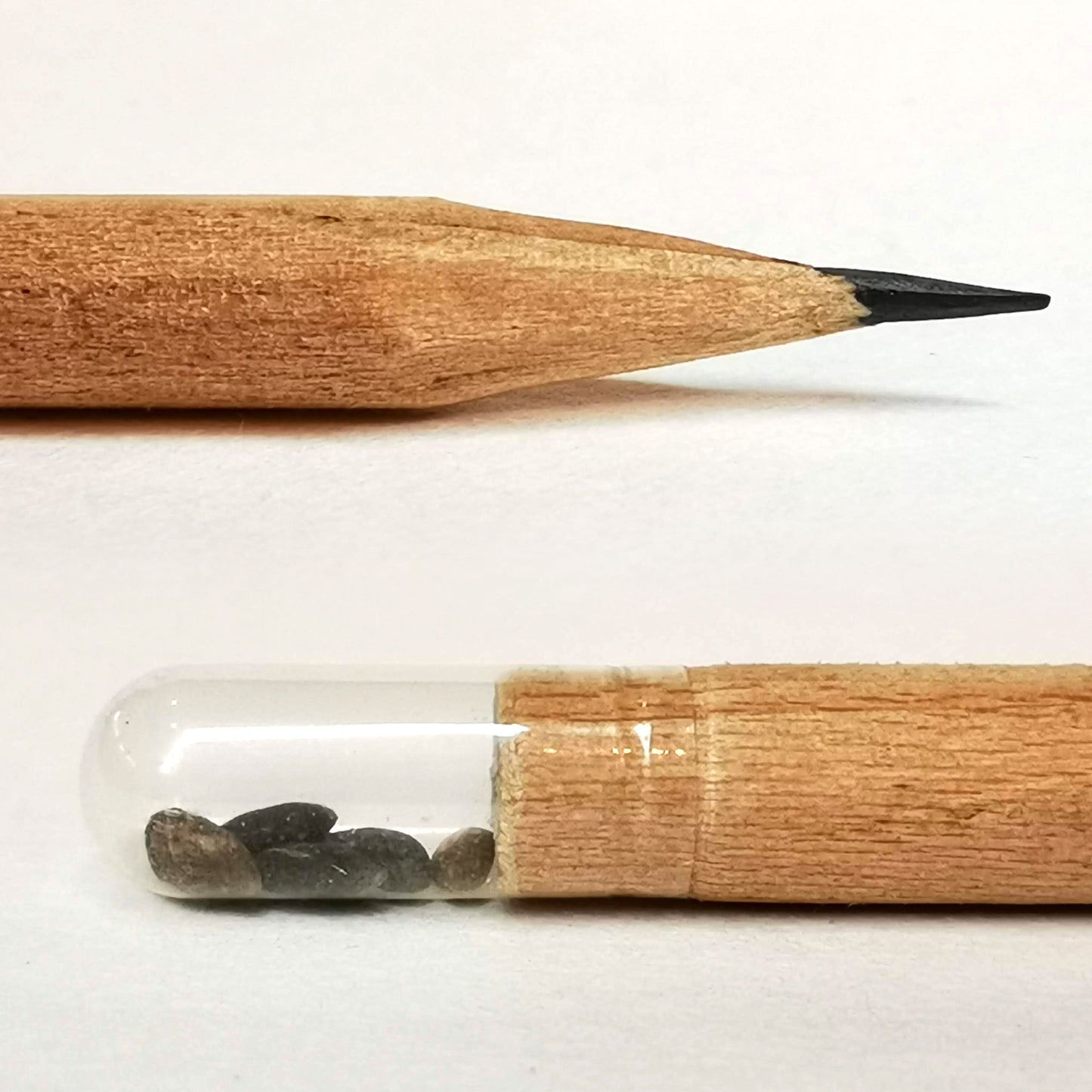 Koka zīmulis ar koka sēklām