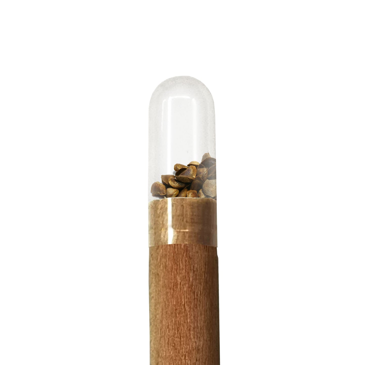 Wooden pencil with wood seeds