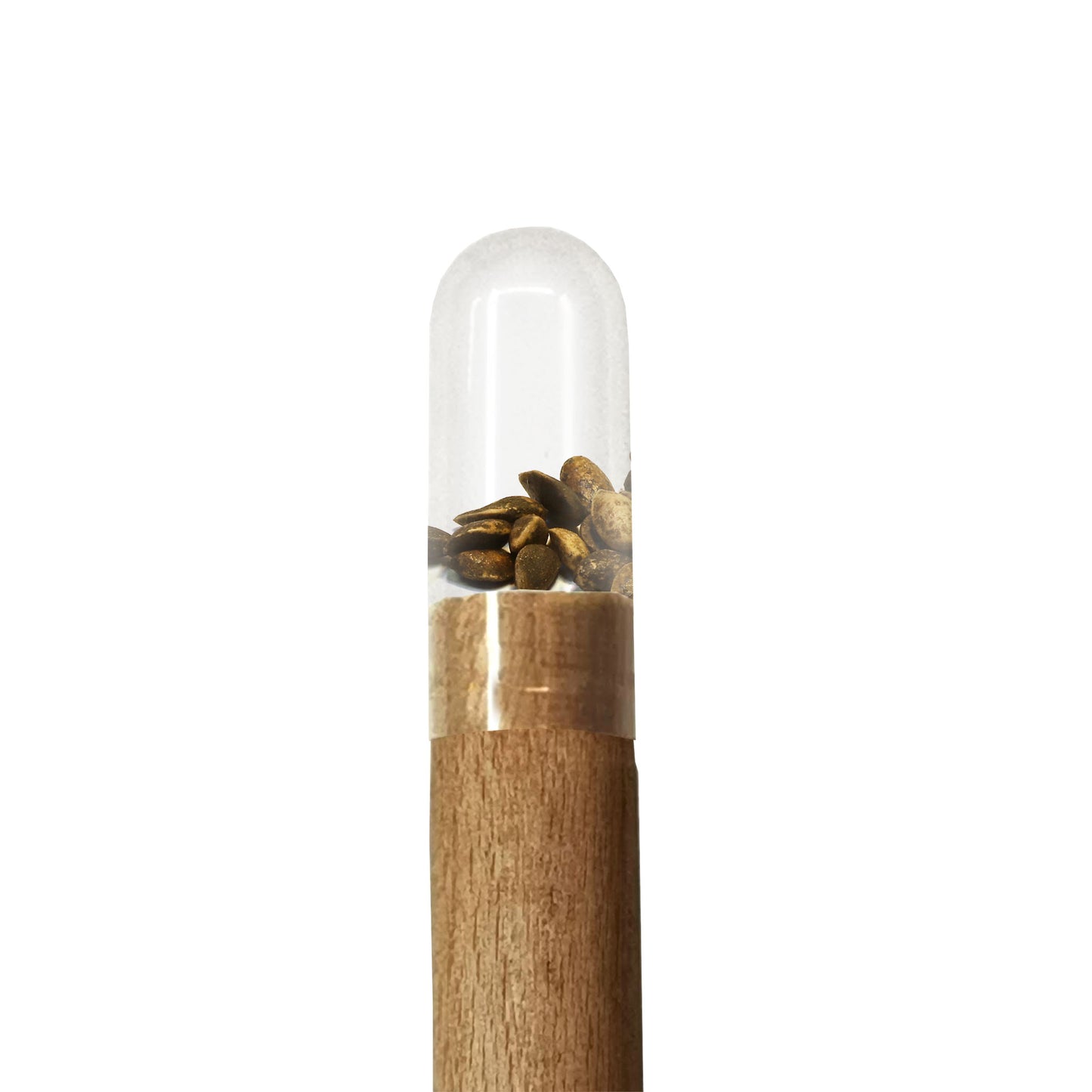Wooden pencil with wood seeds